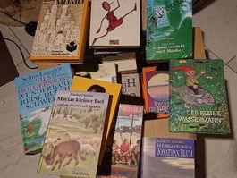 Bücher Kiste 2