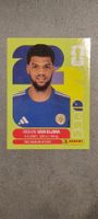 Panini FIFA World Cup 2026 Sticker - CUW 7 Roshon Van Eijma
