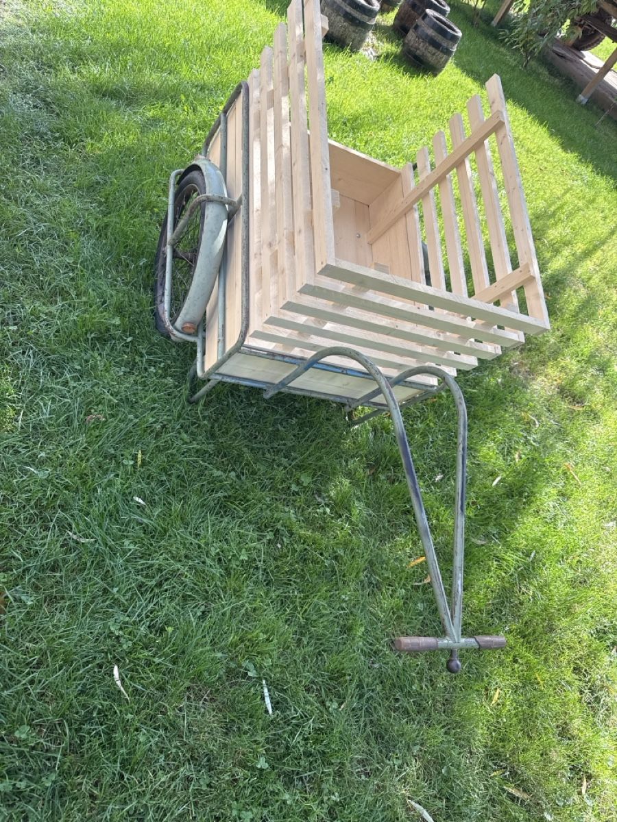 Anhänger: Veloanhänger  – Gebraucht aus Langnau i. E. von Acrjl 1
