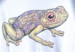 T-Shirt mit Coloreffekt Frosch Gr. L