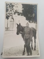 Historische Fotografie Soldat mit Pferd 6/B Zürich RN