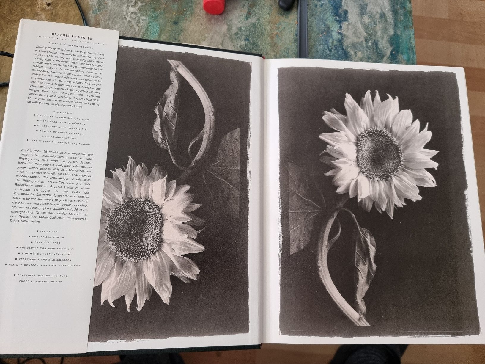 Libri: Große Graphis Photo Sammlung 1966–1997   – Usato da Winikon venduto da raynick 1