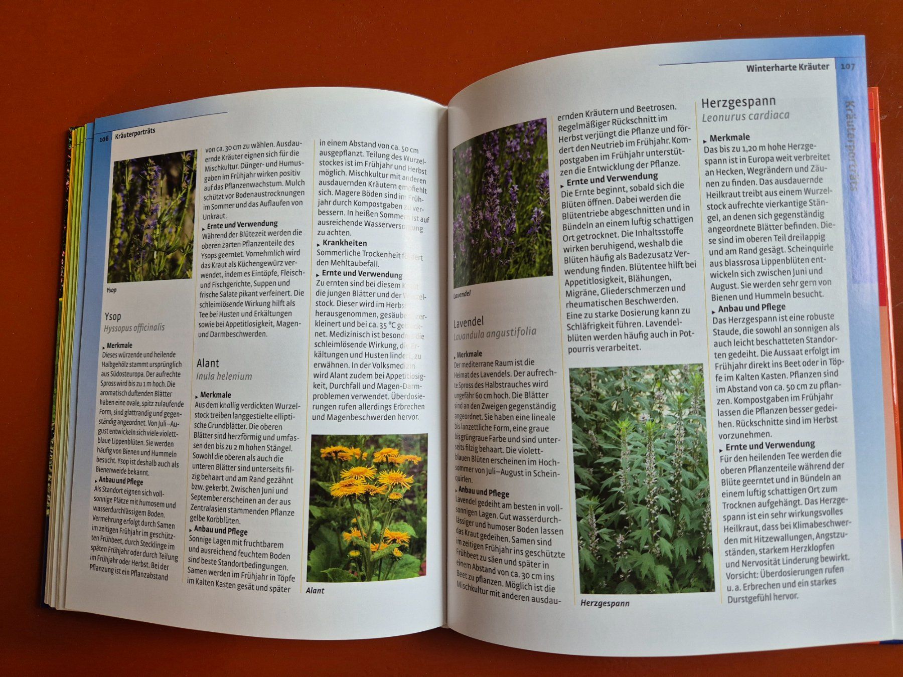 Libri: Kosmos Kräutergarten – Usato da Zürich venduto da jstsyysndby 3