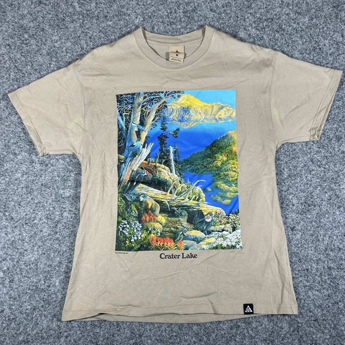 Nike T-Shirts: NIKE ACG Medium 2021 – Gebraucht aus La Sagne NE von Matlasape
