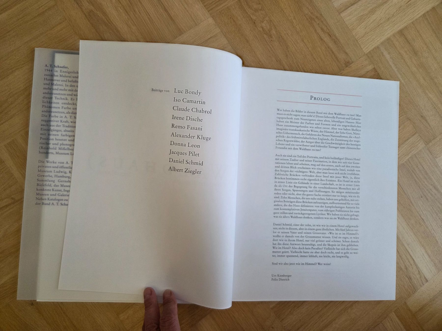 Libri: Das Waldhaus, Schäfer, Hotel Sils Maria – Usato da Liestal venduto da ITOlio 2