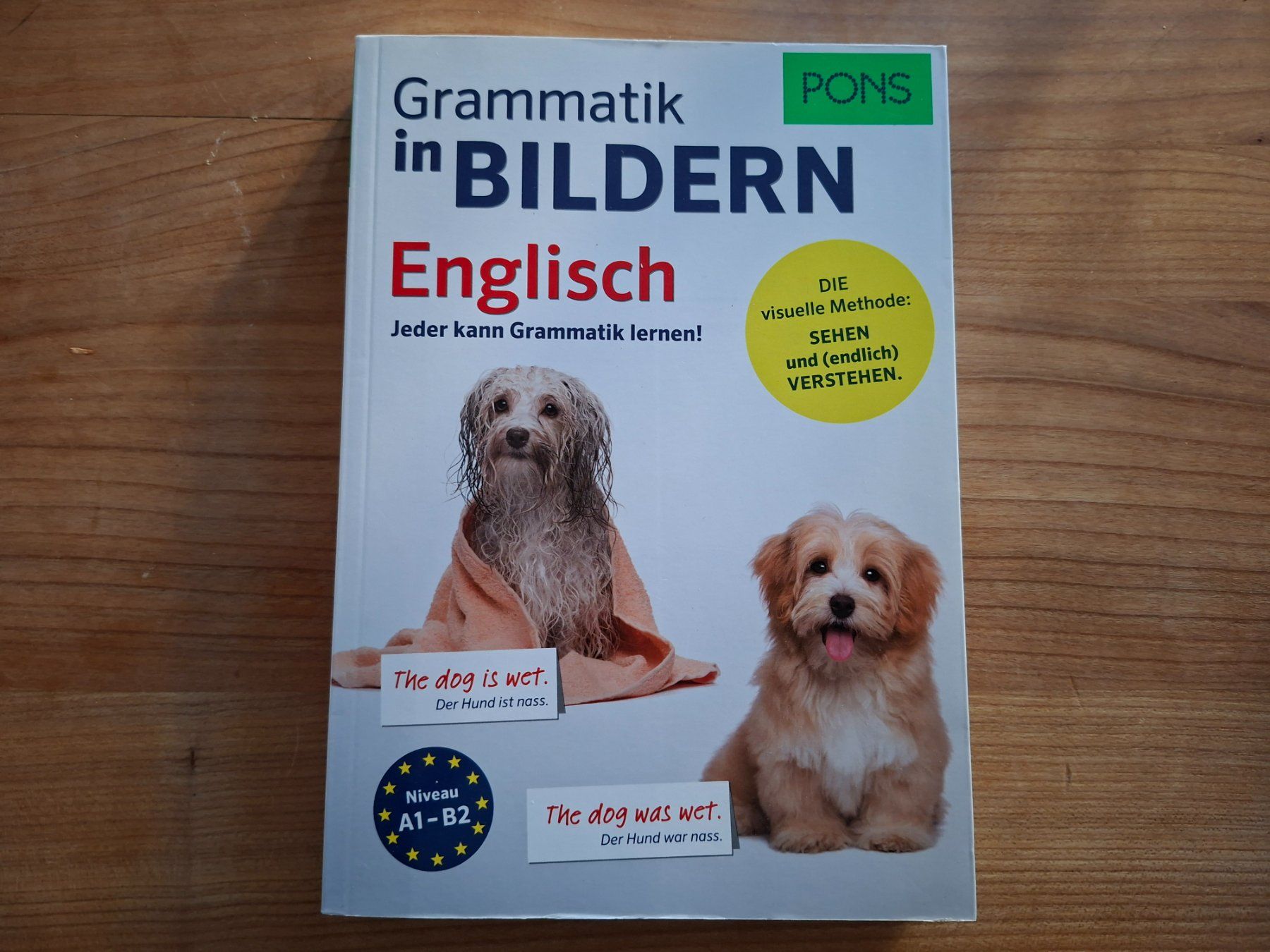 Libri: Grammatik in Bildern Englisch. – Usato da Bern venduto da Akatinka