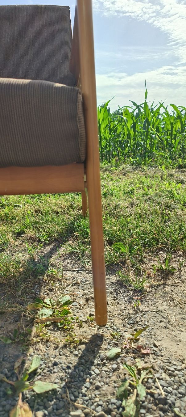 Poltrone: Mid Century Sessel Vintage – Usato da Wädenswil venduto da M_Gee 4