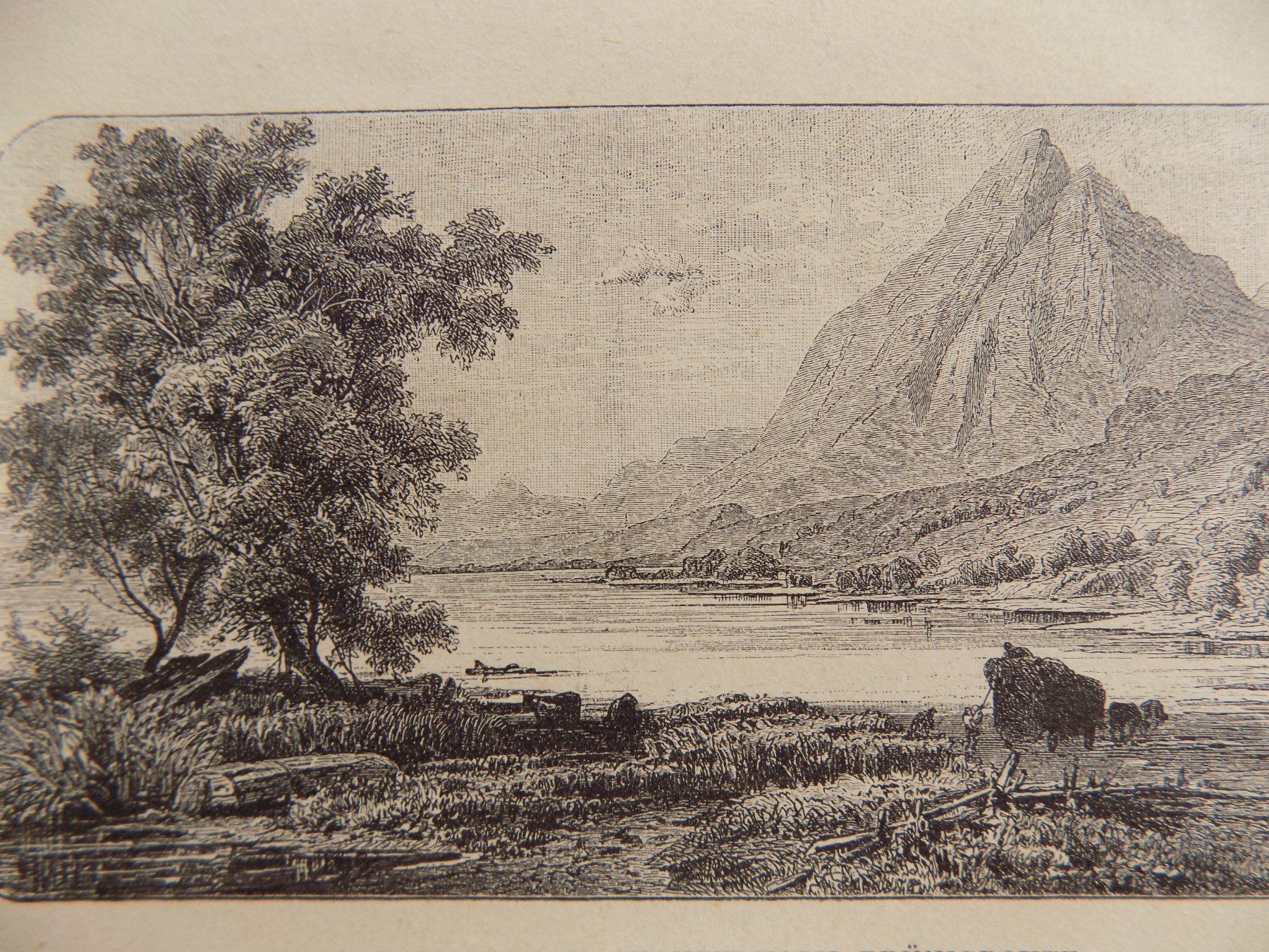 Incisioni: Sarnersee Stanserhorn – Usato da Risch venduto da Rischli15 3