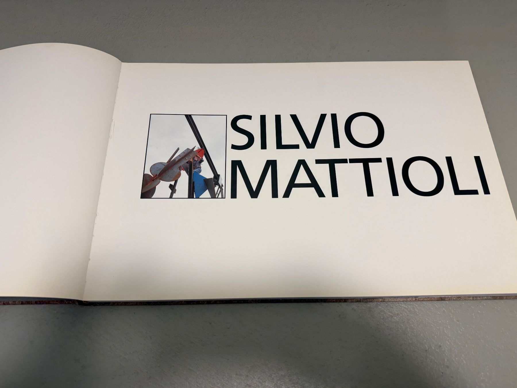 Bücher: Silvio Mattioli – Neu (gemäss Beschreibung) aus Dielsdorf von BGiezendanner 3
