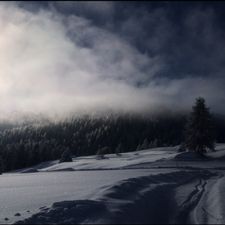 Profile image of schwyz01