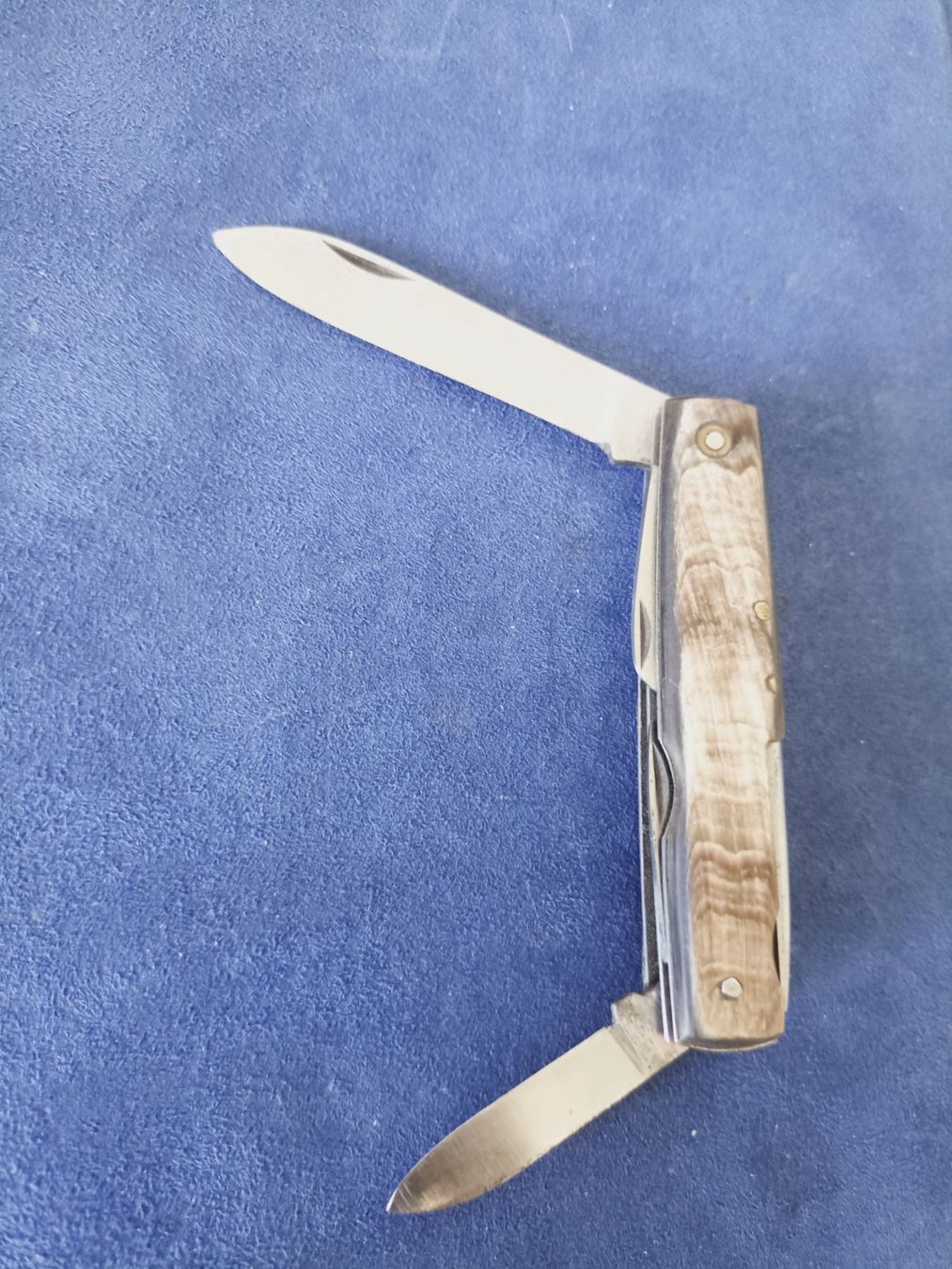 Coltelli tascabile: Jäger Sackmesser 1920-1945 "Sammler" – Usato da Tuebach venduto da bac_7kpb 2