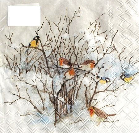 Tovaglioli: Serviette birds on branches (1211) 2Stk. – Nuovo (secondo la descrizione) da Schlatt TG venduto da kreativ-atelier