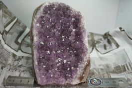 Amethyst Druse  10 cm x  8cm     Direkt