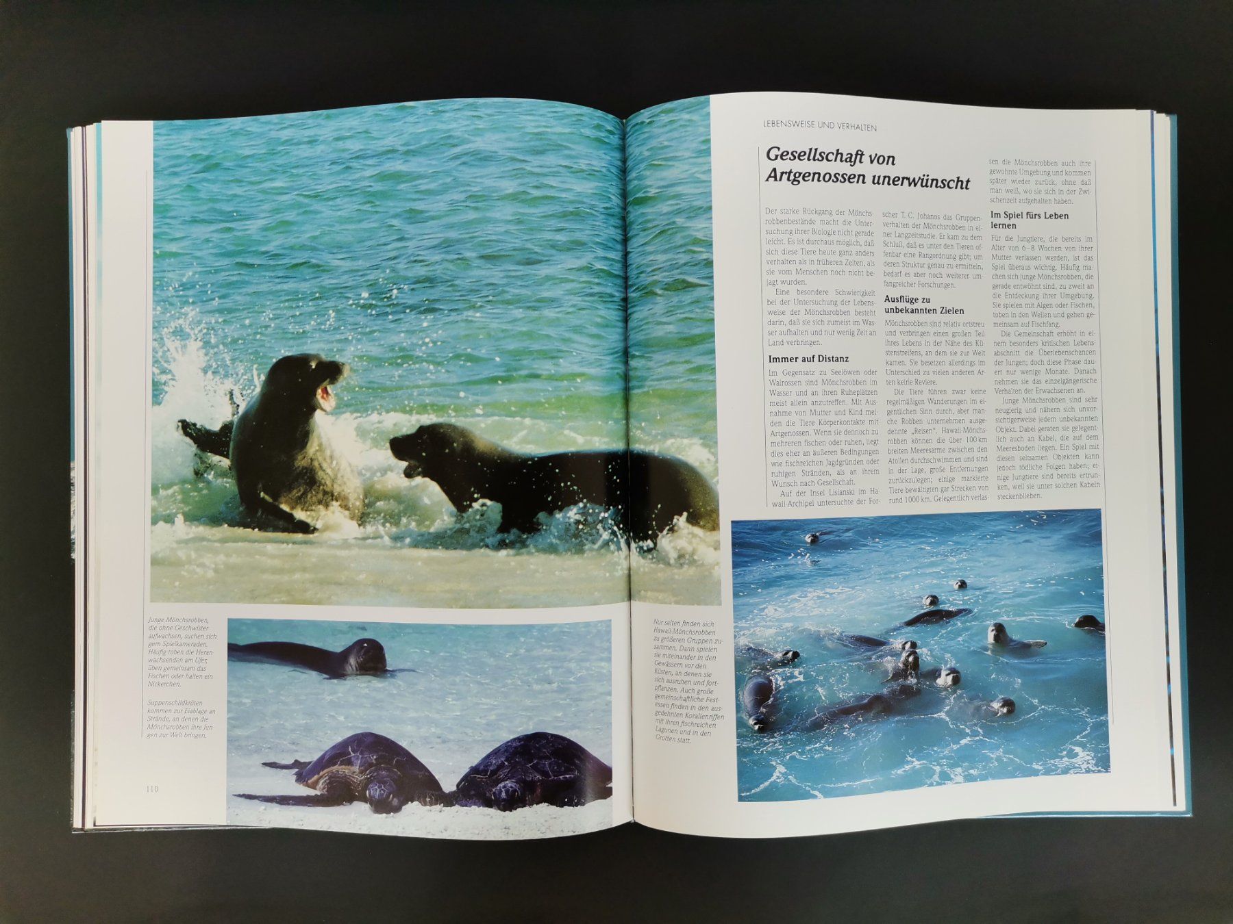 Libri: Tiere der Meeresküsten – Usato da Schaffhausen venduto da Restwert_SH 4