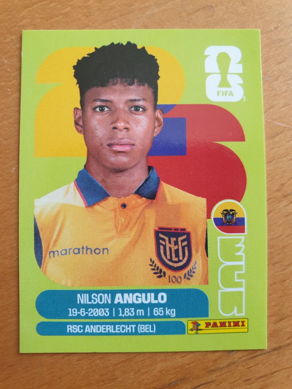 Panini Carte collezionabili: Panini WM 2026 ECU 17 – Nuovo (secondo la descrizione) da Einsiedeln venduto da MGXX