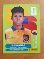 Panini WM 2026 ECU 17