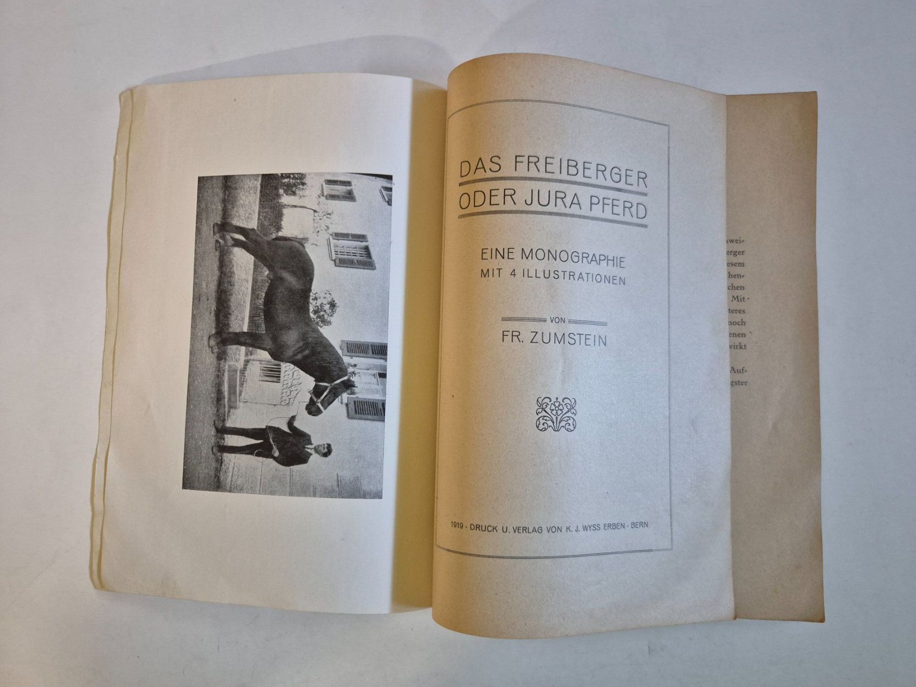 Libri: Das Freiberger oder Jura Pferd Monographie von Fr. Zumste... – Usato da Langendorf venduto da zvonu161 2