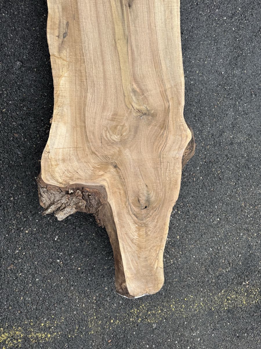 Articoli in legno: Nussbaum Klotzbrett 280  cm lang! – Usato da Gränichen venduto da onkel_xxl 9