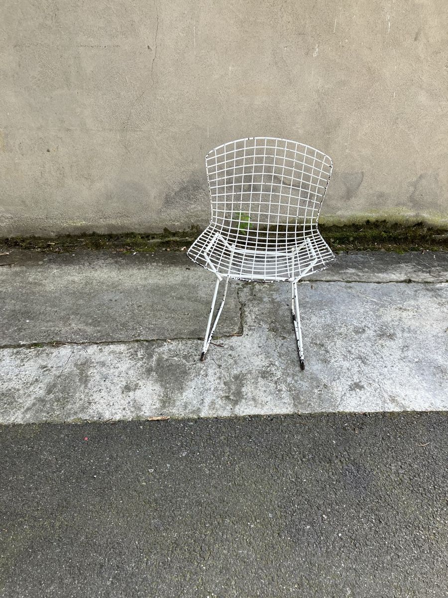 Sedie: Harry Bertoia Vintage Stuhl – Usato da fribourg venduto da Retroverso