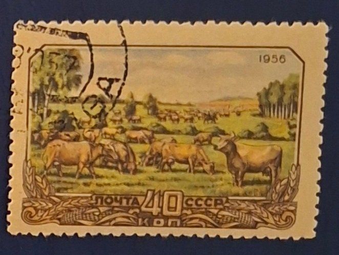 Tutti i francobolli: Briefmarke UdSSR – Usato da Dotzigen venduto da ser_8hp9