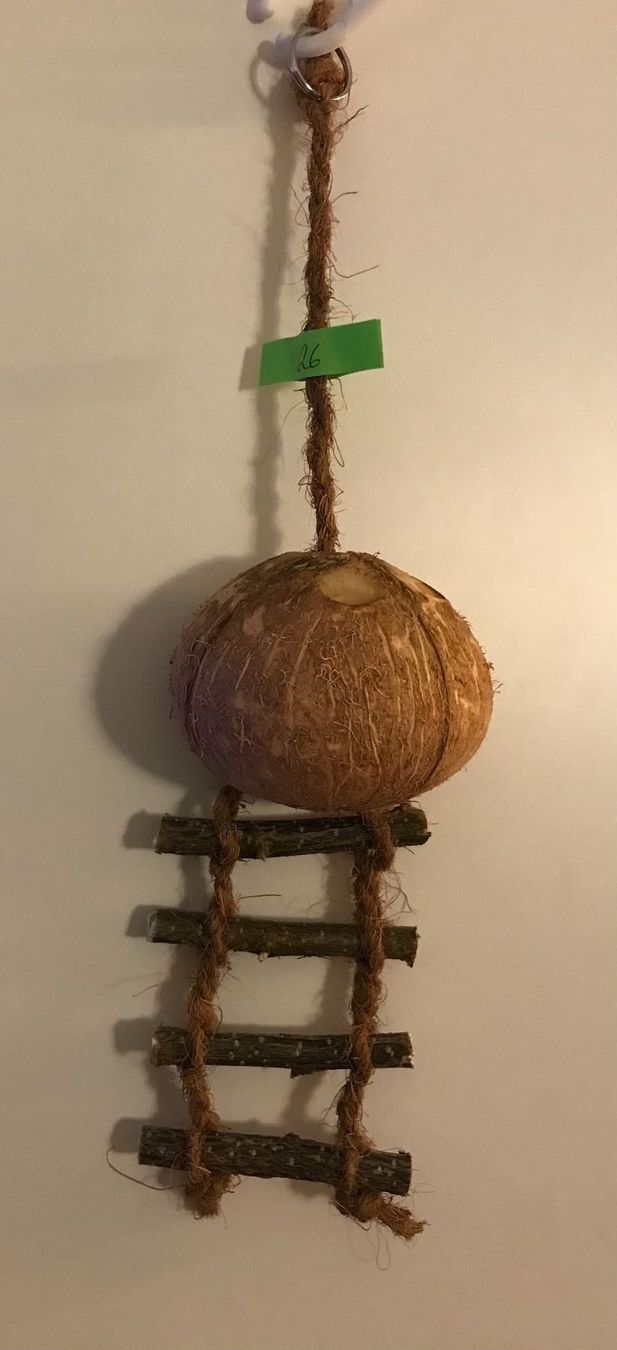 Casette per bambini: Kokosnest Nr. 26 10,5 cm – Nuovo e nell'imballaggio originale da Ennetmoos venduto da Tabakfrei 1