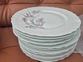 11 grandes assiettes porcelaine de Limoges anc. Manu. Royale