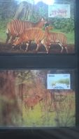 WWF Ghana 1984 Bongo Antilope Satz Maximumkarten