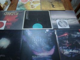 Vinyl Sammlung ( ab 2010 ) 8 Stk.