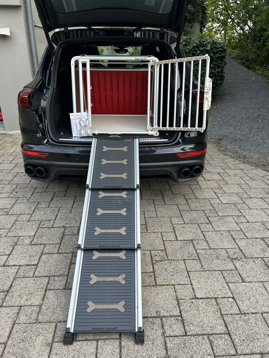 Hunderampe Auto (Gebraucht) in Niederbren fr CHF 70  nur Abholung auf  Ricardo kaufen