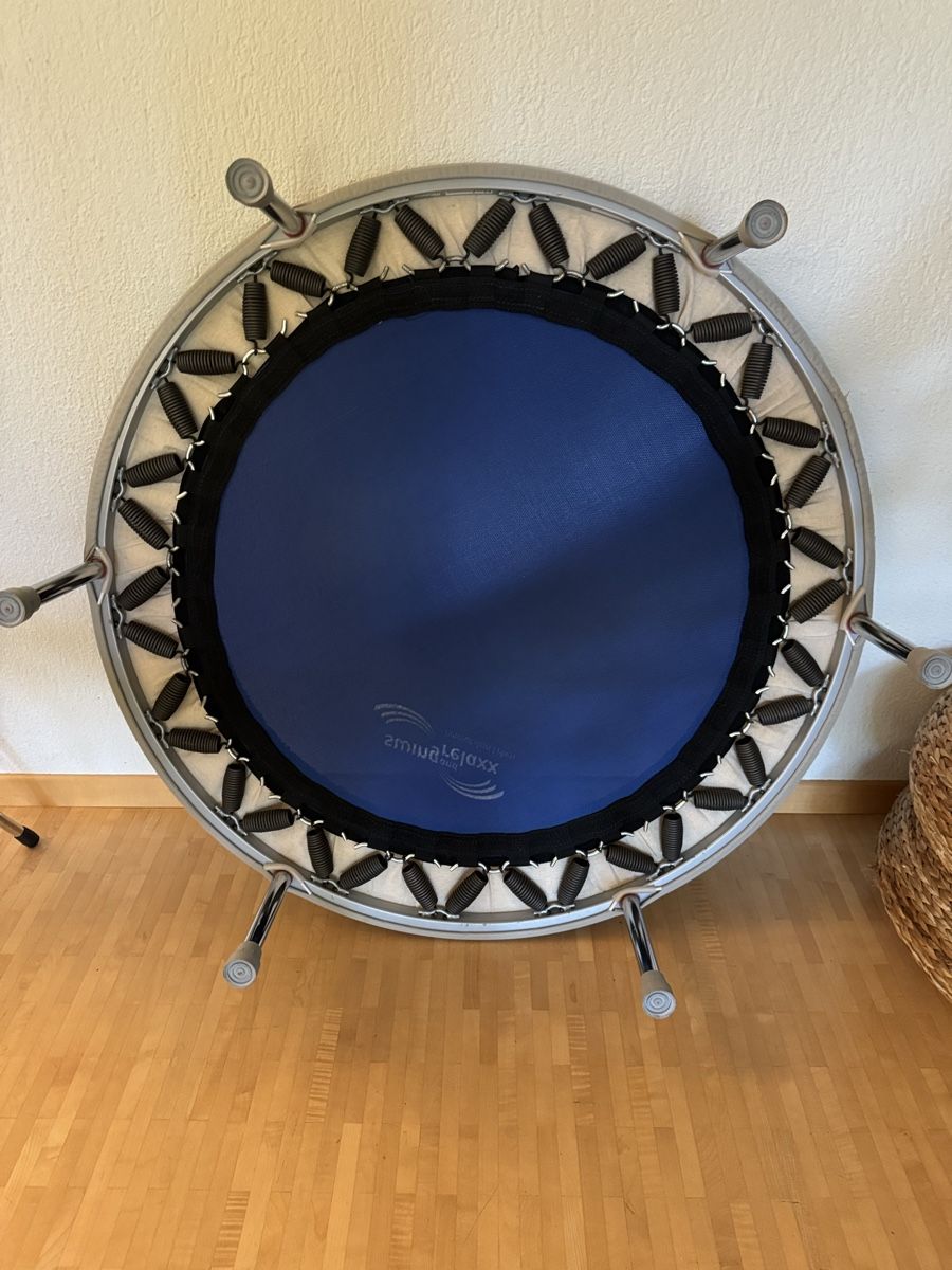 Trampolini: Trampolin top Zustand, kaum gebraucht – Nuovo (secondo la descrizione) da Bolligen venduto da Mia1973 1
