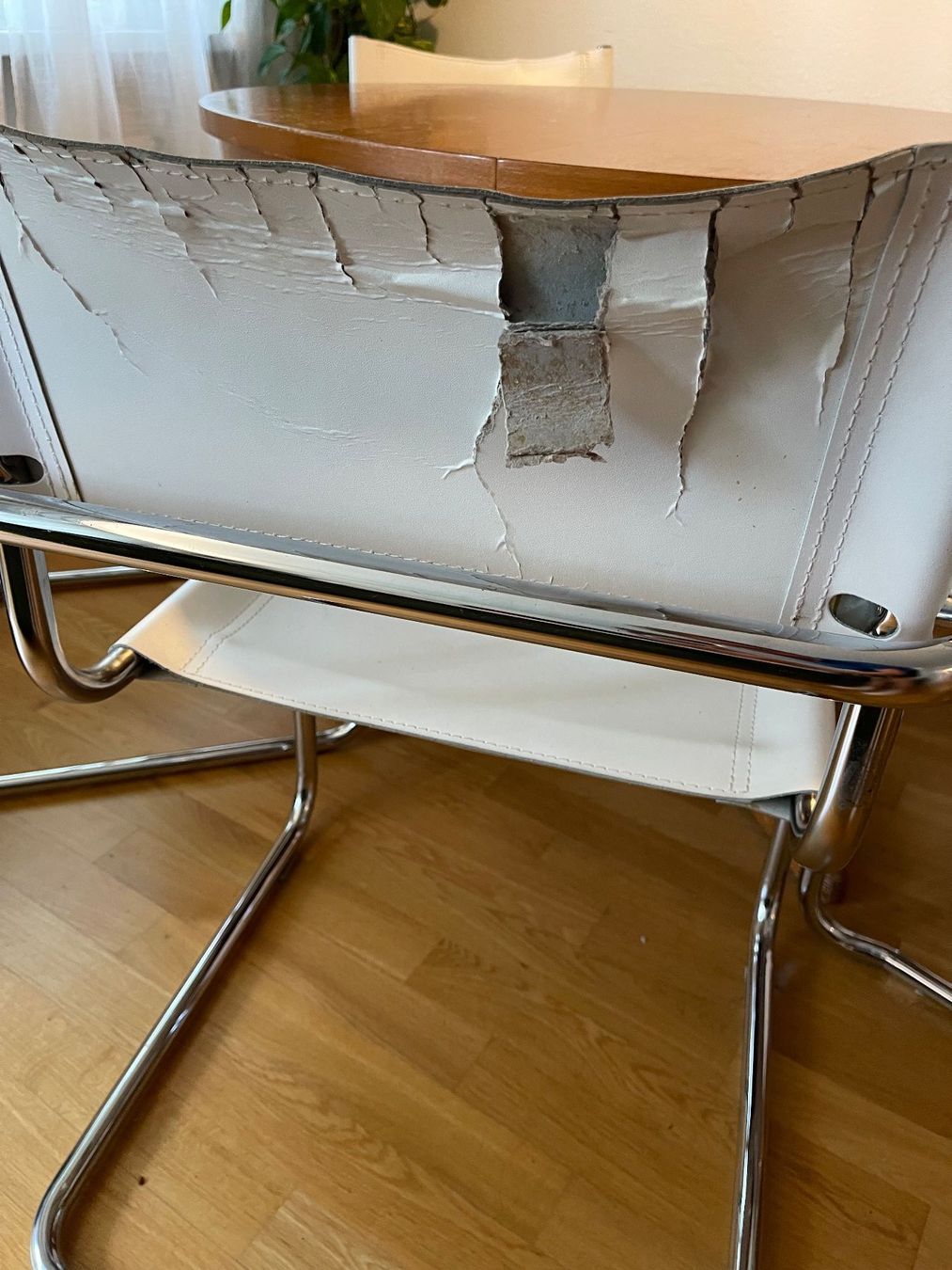 Sedie: Freischwinger Stühle Weiss x 6 Stück – Usato da Luzern venduto da mic_7nlp 3