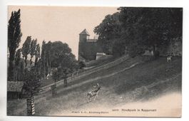 RAPPERSWIL Hirschpark