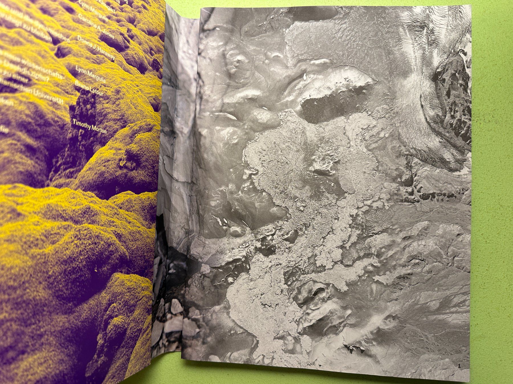 Libri: Olafur Eliasson: Symbiotic Seeing. – Usato da Zürich venduto da allp 1