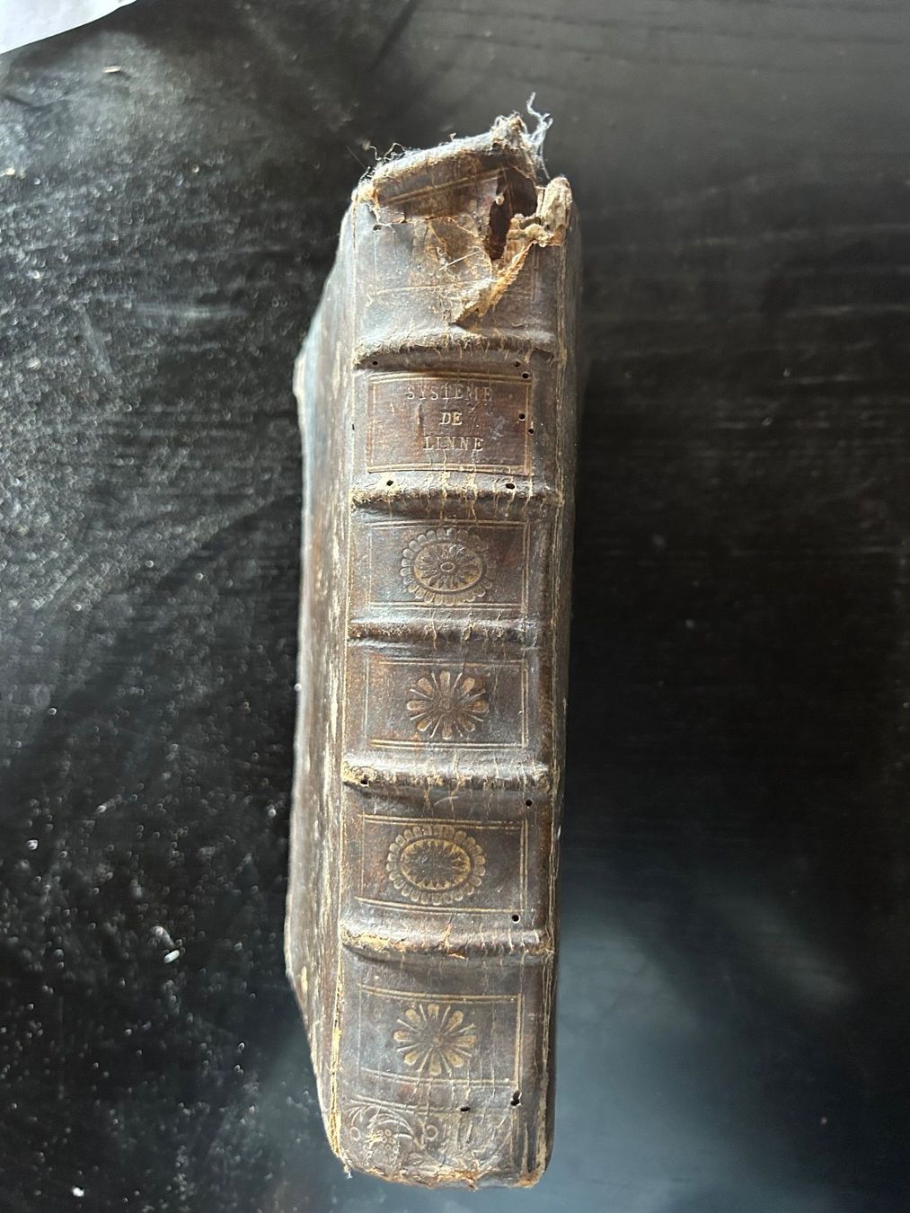 Bücher: Livre Systeme de LINNE – Gebraucht aus Bernex von qpdkvm 1