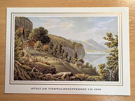 Alte Ansichtskarte Rütli Vierwaldstättersee!