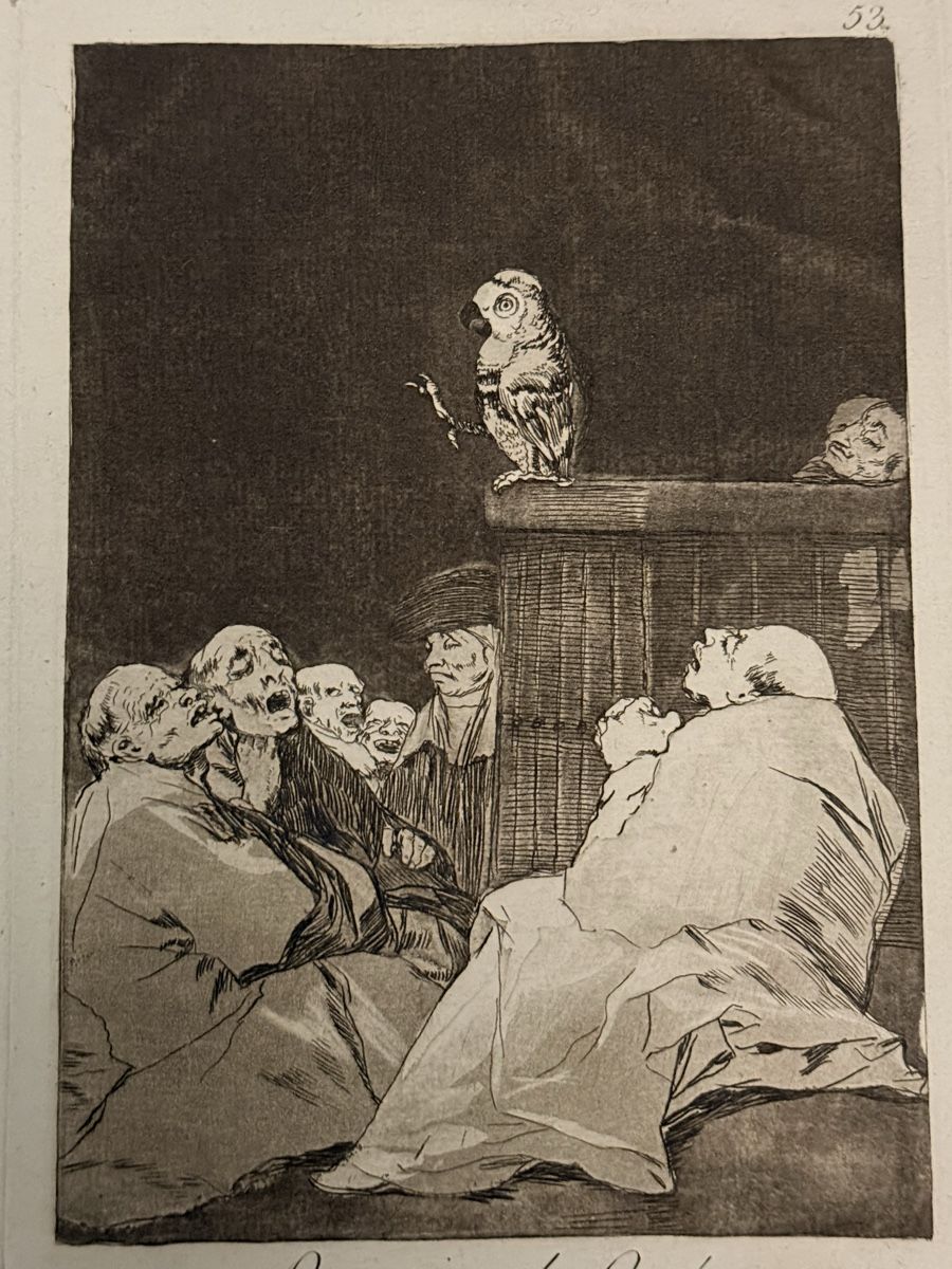 Foto & Immagini: Francisco Goya's "Que Pico de Oro" – Usato da Solothurn venduto da NUVICO 3