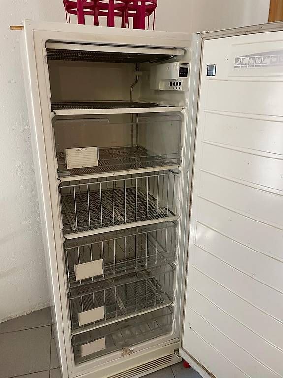Congélateurs: Congelatore Elektrolux – D'occasion à Giubiasco par erm_ngb5 1