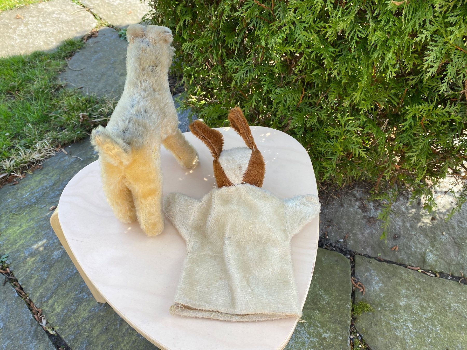 Giocattoli: antiker Terrier und Handpuppen-Hund – Usato da Feldbach venduto da Olive1 5