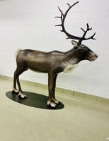 Lebensgrosser Rentier aus Polyesterguss und Airbrush