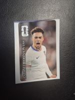 Cola Panini Antonee Robinson
