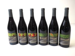 Domaine Donatsch Malanser 2023 Rotwein NP:840 CHF (26092346)