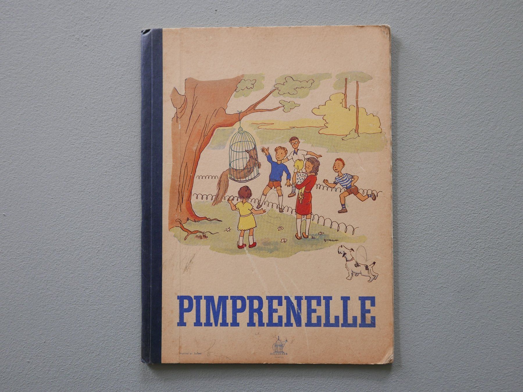 Bücher: ALTES KINDERBUCH PIMPRENELLE – Gebraucht aus Balgach von Zwischenraum