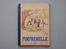 ALTES KINDERBUCH PIMPRENELLE