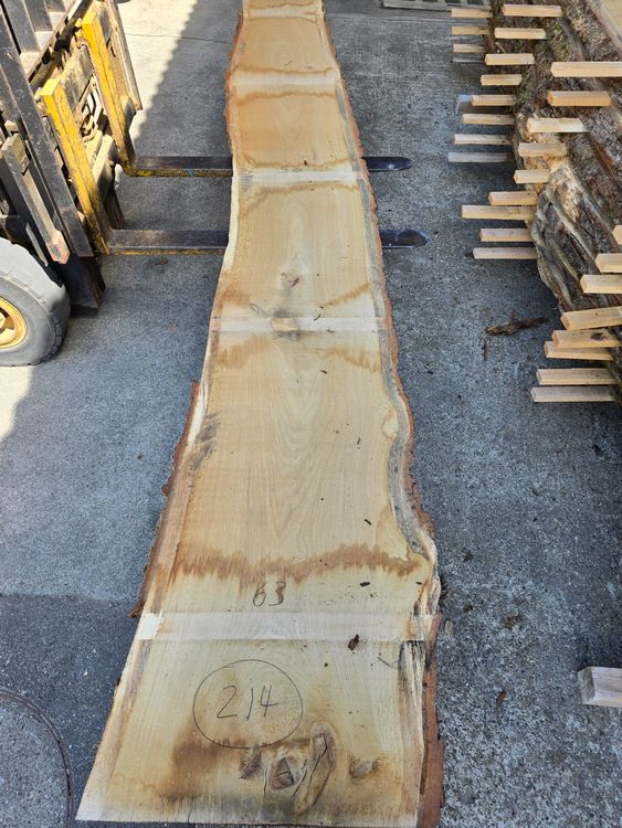 Articoli in legno: Eichenbrett Nr. 214 – Nuovo (secondo la descrizione) da Lützelflüh-Goldb venduto da ch.waelchli-holz.ch