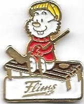 Plaquettes & Badges: Flims – D'occasion à Hinterkappelen par Schampus