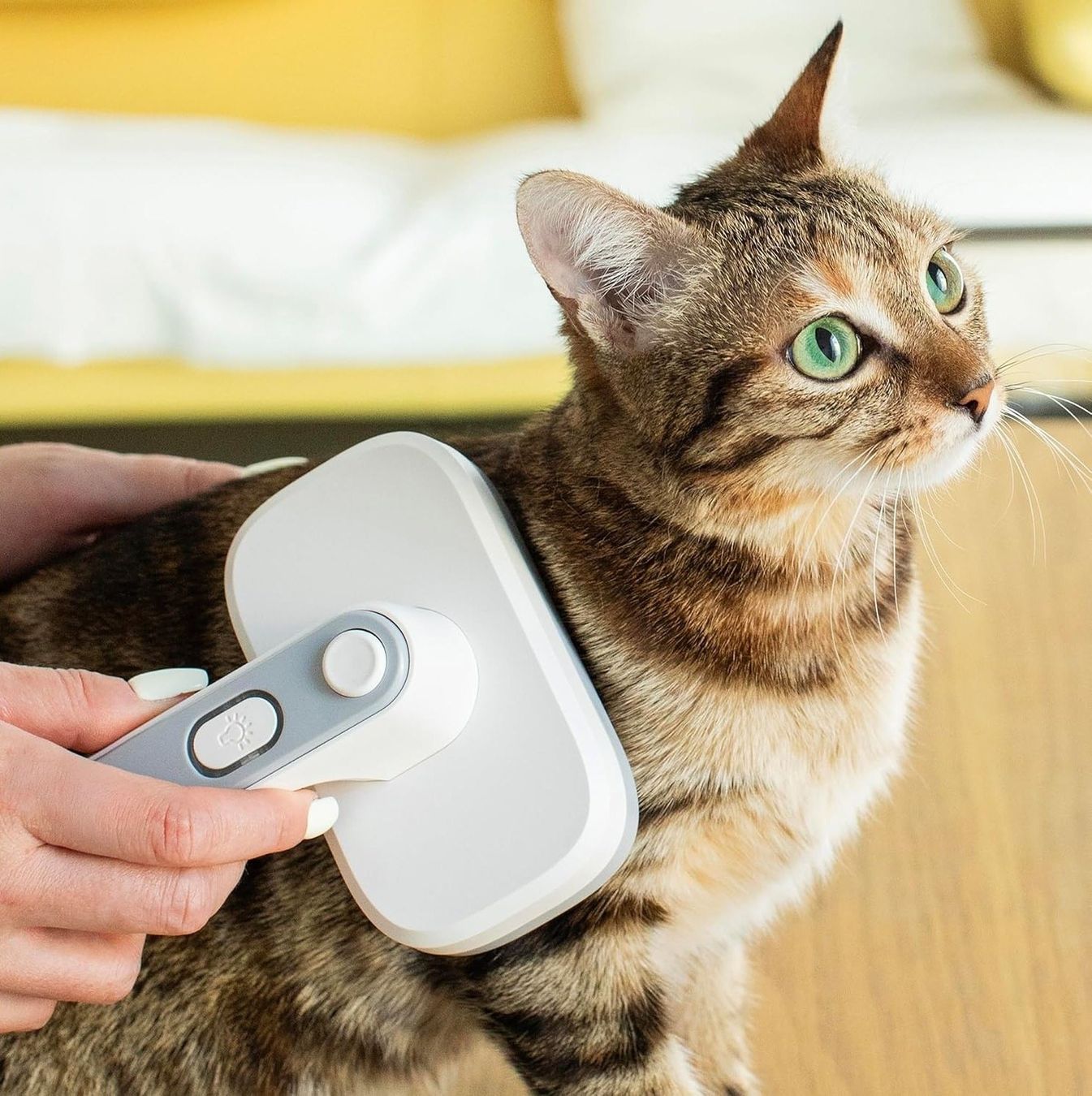Altro per la casa: Daewoo Pet Slicker Brush – Nuovo e nell'imballaggio originale da Hitzkirch venduto da Thali_AG 1
