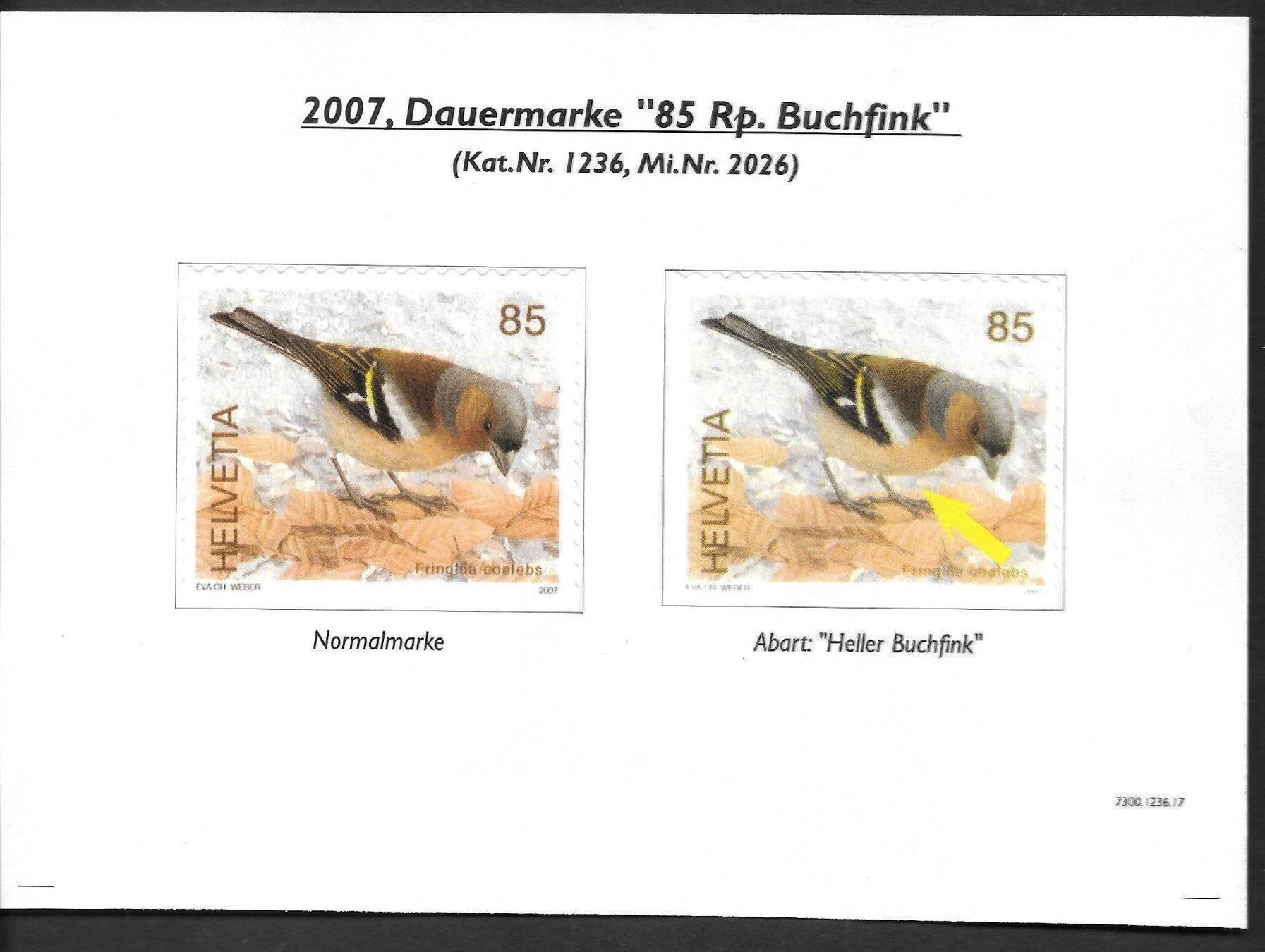 Tutti i francobolli: Nr. 1236 Abart "Heller Buchfink" ** – Nuovo (secondo la descrizione) da Olten venduto da clotaldi 1