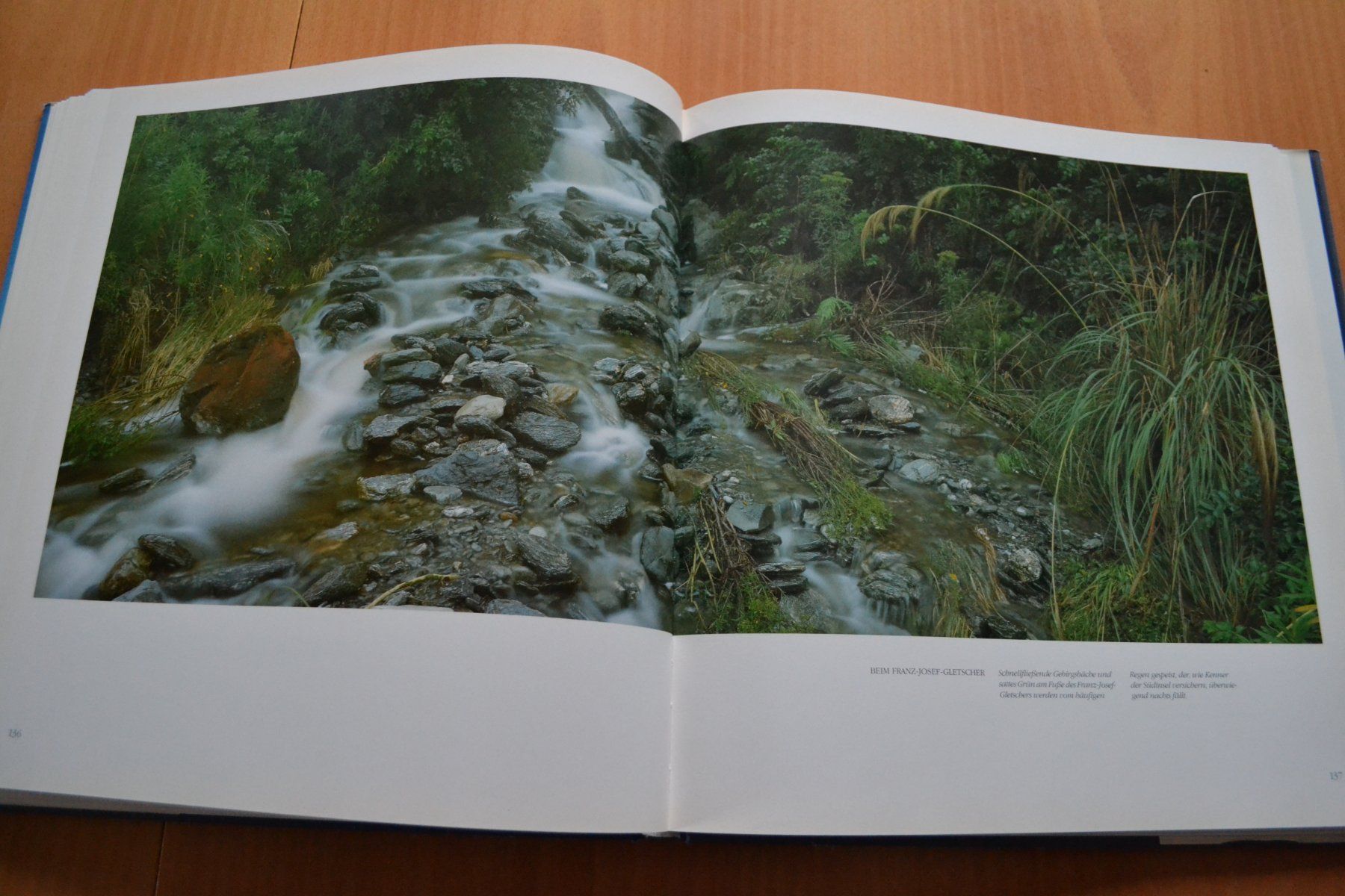 Libri: Neuseeland 180 Seiten – Usato da Beinwil am See venduto da kajak55 7