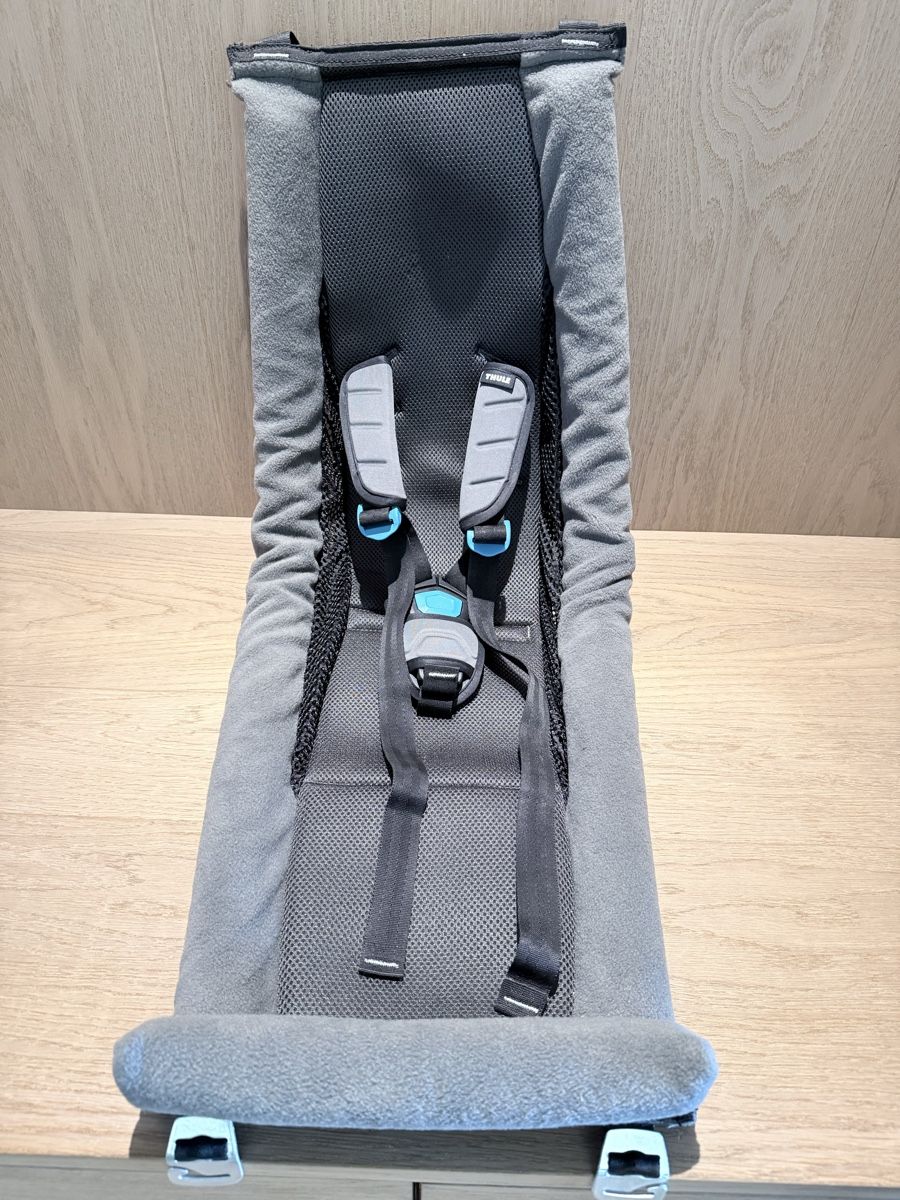 Thule Anhänger: Thule Chariot Infant Sling – Gebraucht aus Oberrieden von ppourfallah