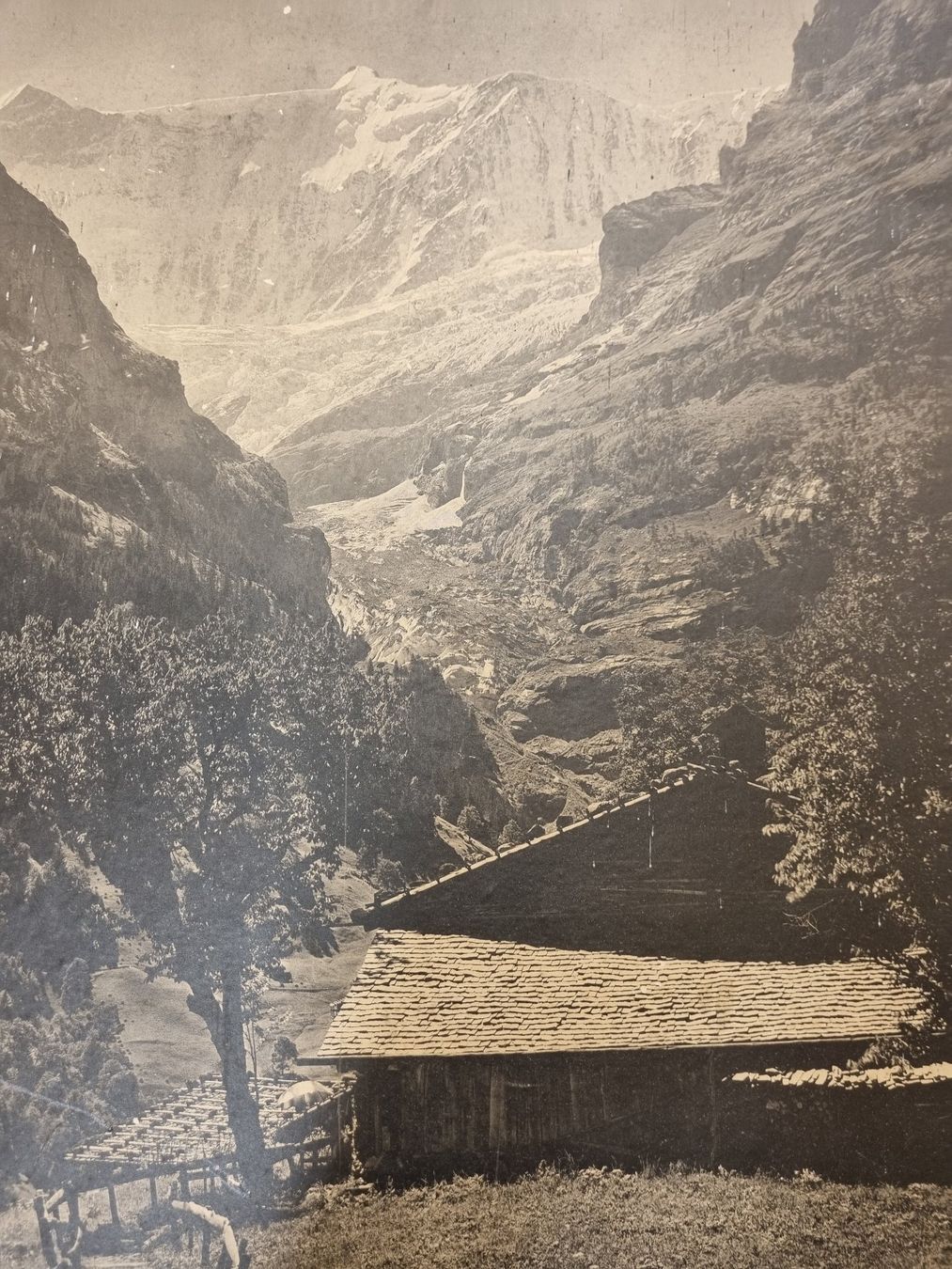 Foto & Immagini: Antike Fotografie: Unterer Grindelwaldgletscher – Usato da Trachslau venduto da post35 3